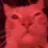 catparty