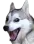 GoodDoggo