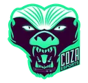 CozaEsports
