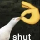 shut