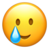 leighsadtear Discord emoji