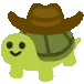 YEEHAWTURTLE