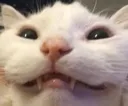 HEH