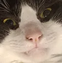 HEHEHEH