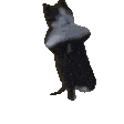 emoji_35