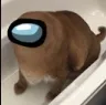 flopsus