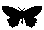 AH_Black