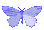 AH_Iris