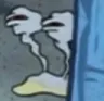 snailsquint