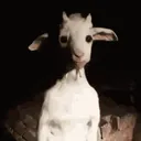 cb_cabraassasinouogatoface