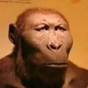 Not Funny not_funny Discord Emoji