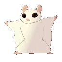 SlowPartyBaby