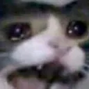 cri
