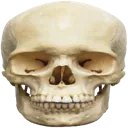 skul