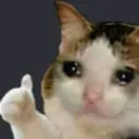 Sad Cat Ok Discord Emoji