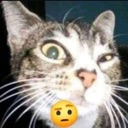 cat_sus Discord emoji