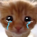 cat_cry Discord emoji