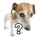 d_wtf Discord emoji