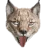 UwU_catdaddy_cashnip UwU_catdaddy_cashnip