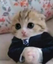 emoji_143 Discord emoji
