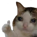 cat_thumb Discord emoji