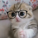 Gatonerd Discord emoji