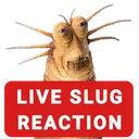 liveslugreation