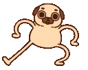 hahapug