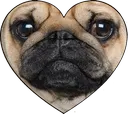 lovepug lovepug