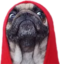 thugpug