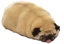 pugloaf