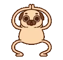 wawapug