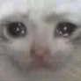 DR_smarto_crycat Discord Emoji