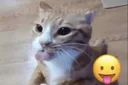 sodamnsilly sodamnsilly