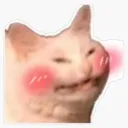 Blushcat blushCat Discord Emoji