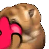FloppaHeart