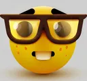 nerd nerd