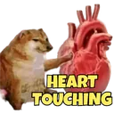 heart