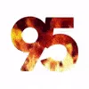 95Dfire