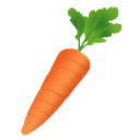 carrot