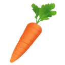 carrot carrot