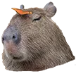 capychill