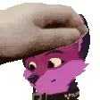 buizelpet buizelpet