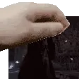 nsam