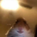 __ __