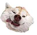 Funnydog Discord Emoji