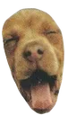 funnydog2 Discord Emoji