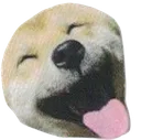 funnydog3 Discord Emoji