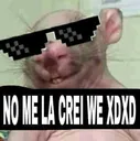 nomelacreiwexd