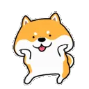 Shiba Shiba